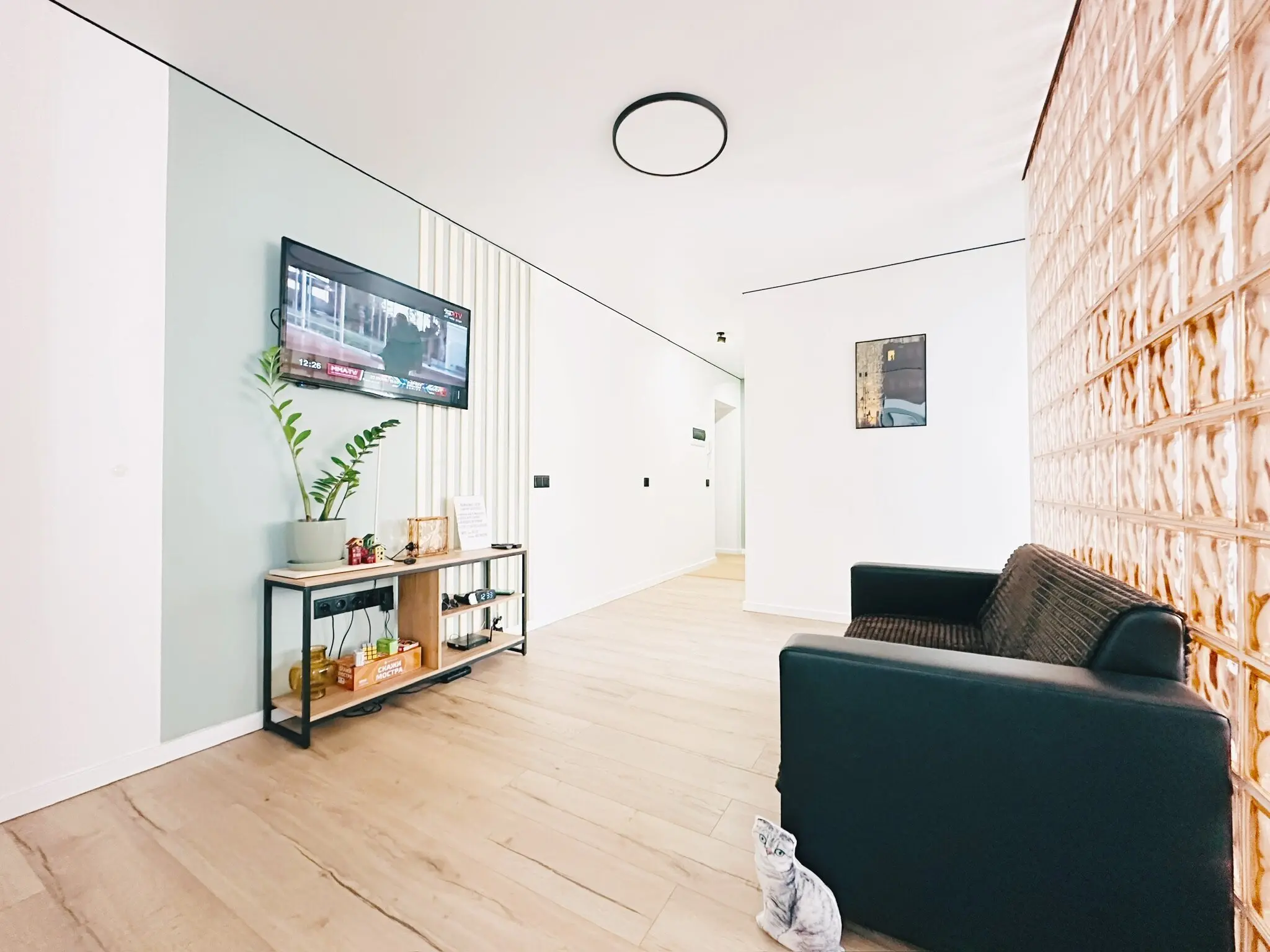 Interior of apartment for daily rent, Gomel, Sovetskaya St. 72