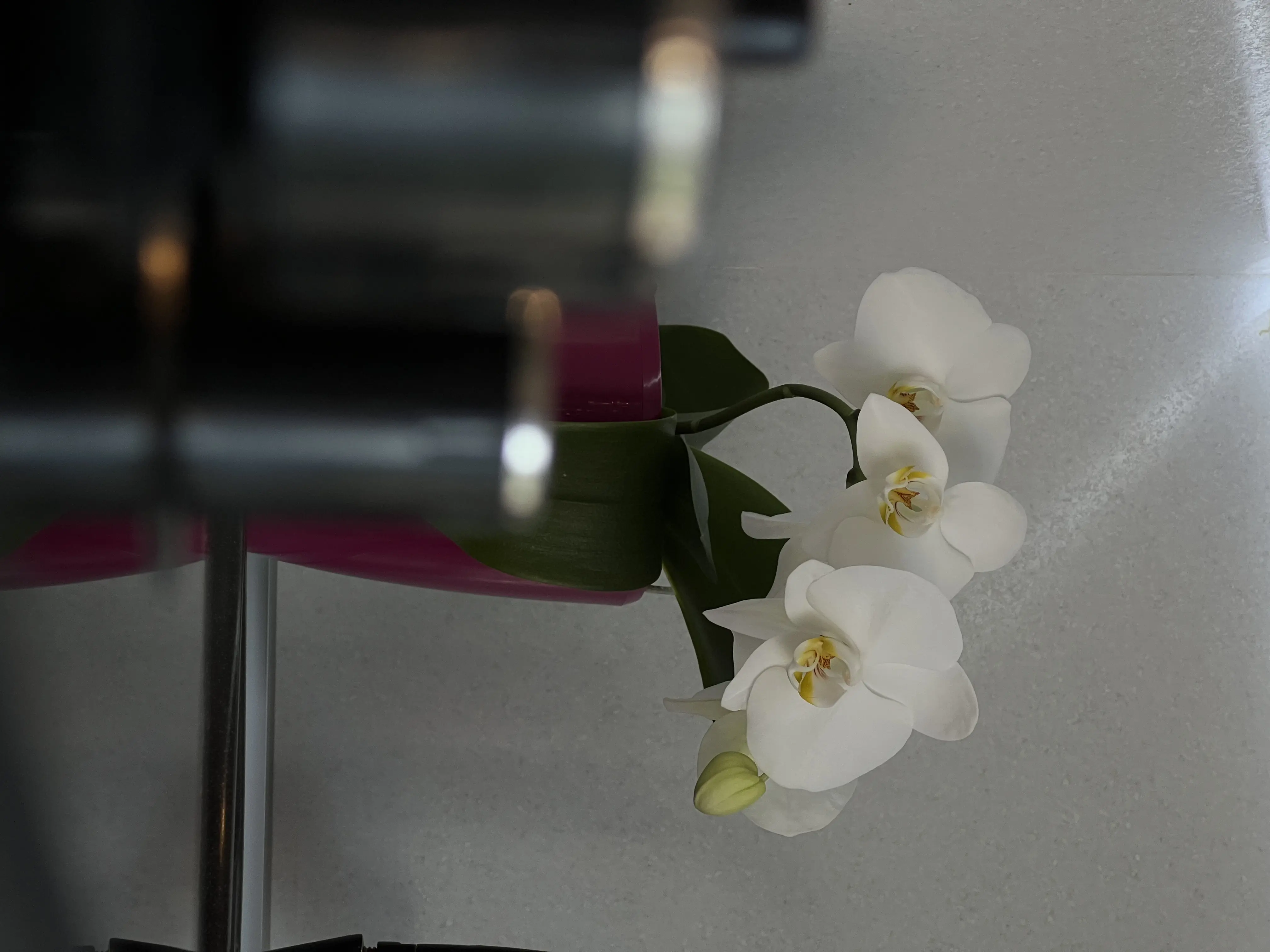 Apartment for daily rent, Gomel, Rechickij av. 33 — interior photo