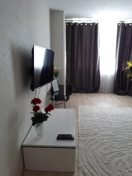 Interior of apartment for daily rent, Gomel, Rechickij av. 132А