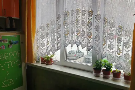 Однокомнатная квартира на сутки в Гомель, ул. Владимирова 57